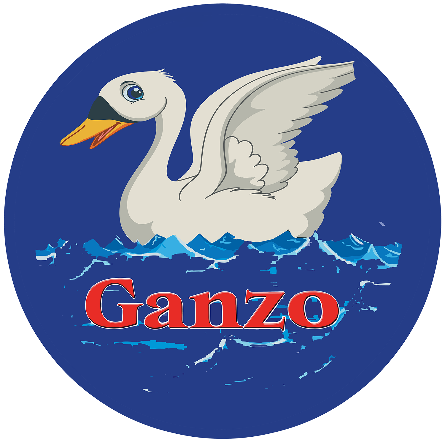 Ganzo Carpet Cleaning